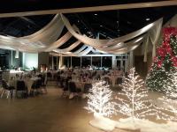 White and Green trees with snow along with custom ceiling voile.